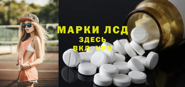 дживик Великий Новгород