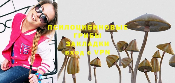 дживик Великий Новгород