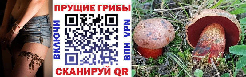 где продают наркотики  Александровское  Галлюциногенные грибы Magic Shrooms 